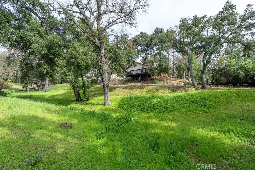 13155 San Antonio Road Property Photo 67