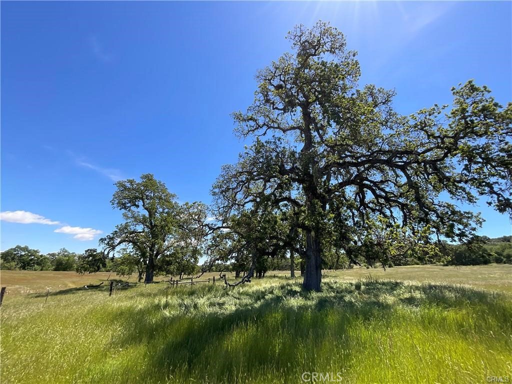 0 Interlake Property Photo