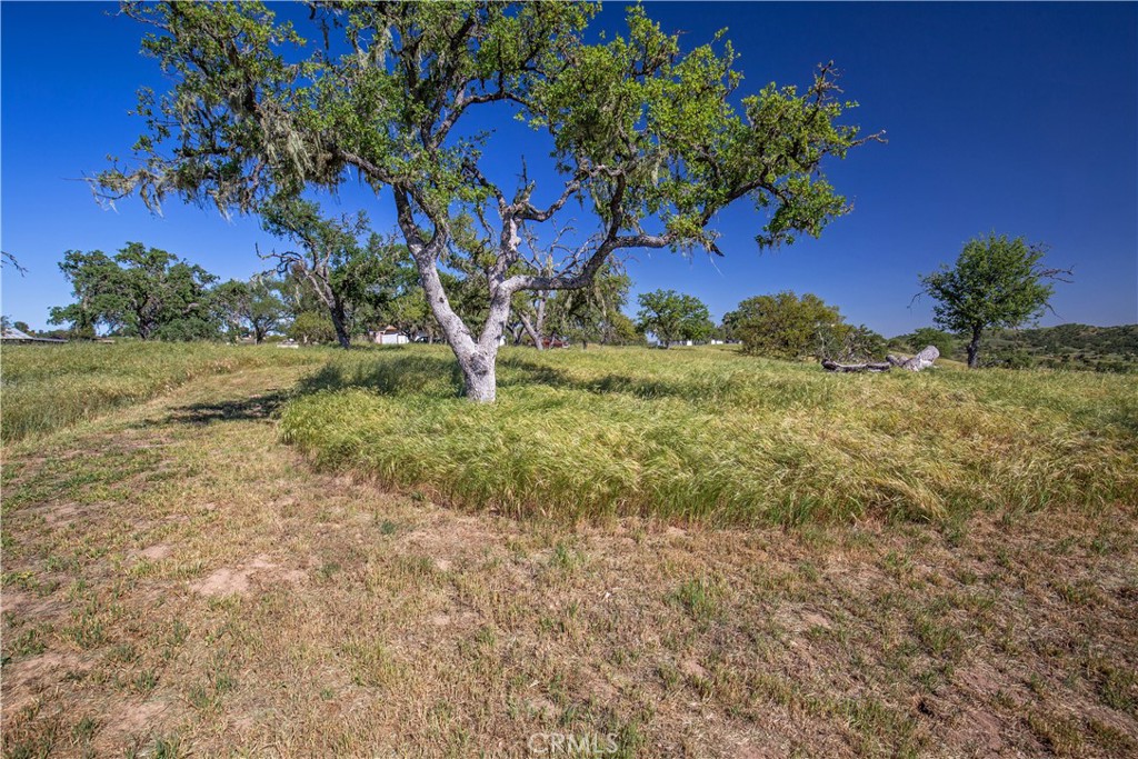 930 Windwood Road Property Photo 9