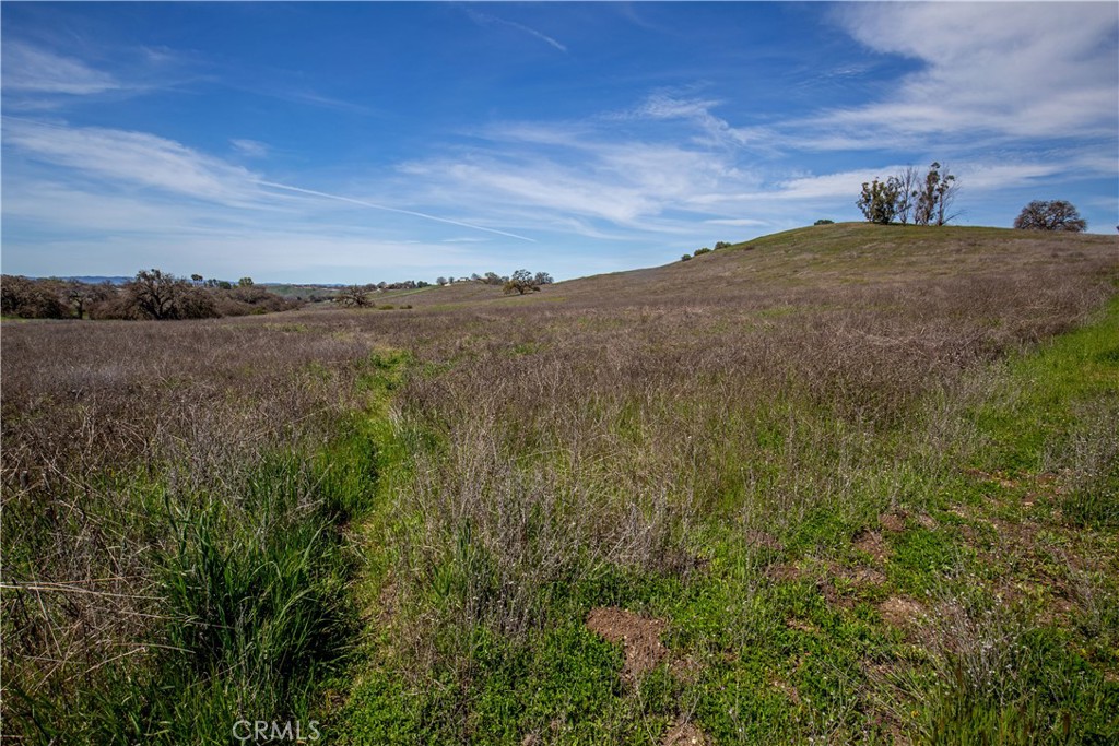930 Windwood Road Property Photo 41