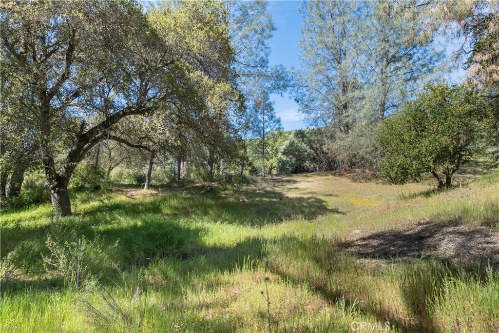 0 Av Ranch Road Property Photo 8