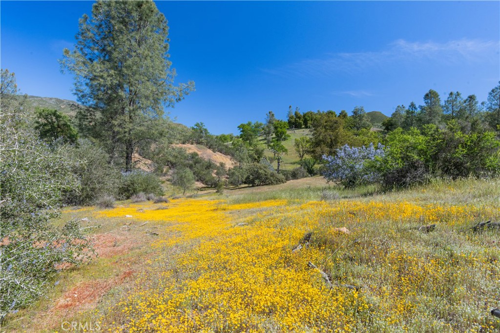 0 Av Ranch Road Property Photo 14