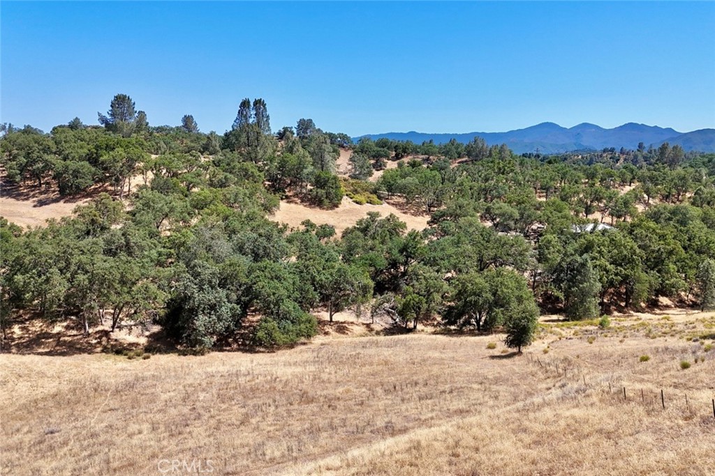 0 Bryson Hesperia Road Property Photo 1