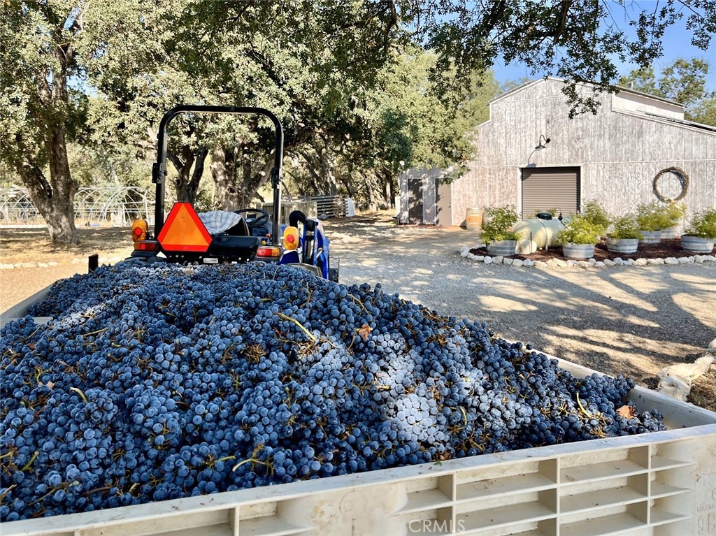 53600 Bradley Lockwood Road Property Photo 1