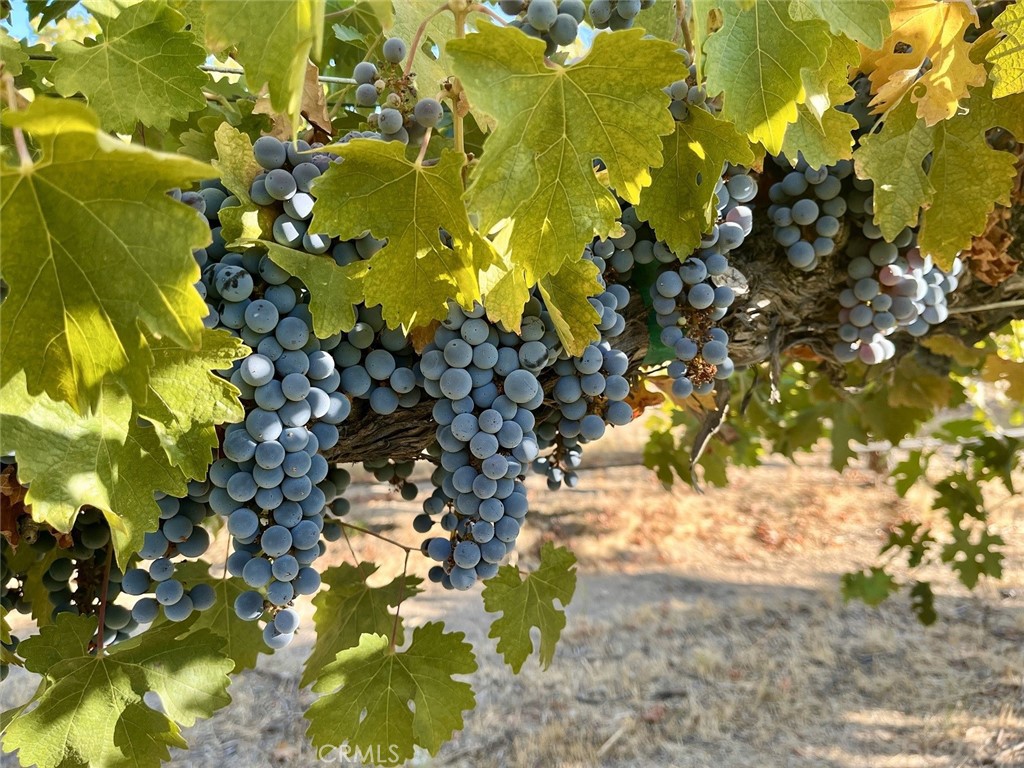 53600 Bradley Lockwood Road Property Photo 4