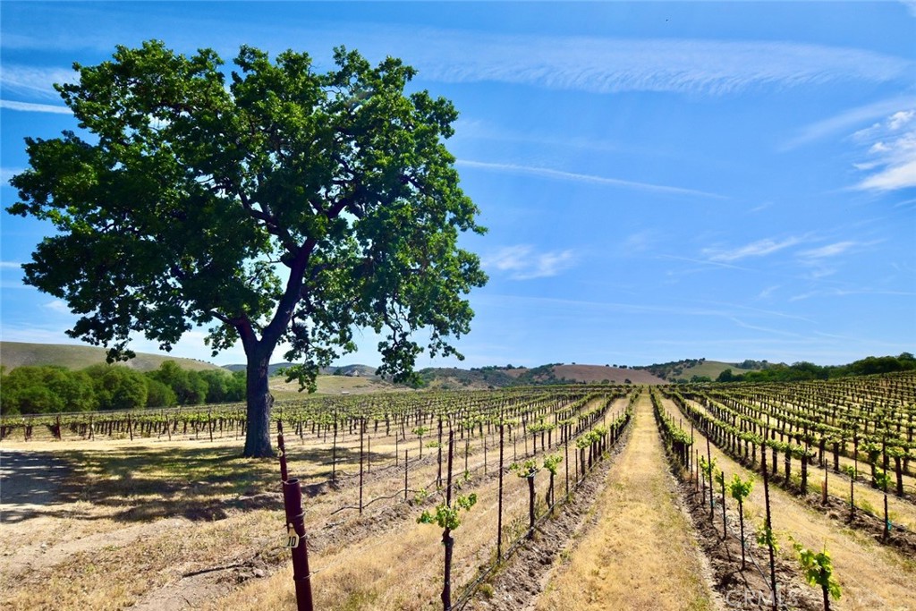 53600 Bradley Lockwood Road Property Photo 54