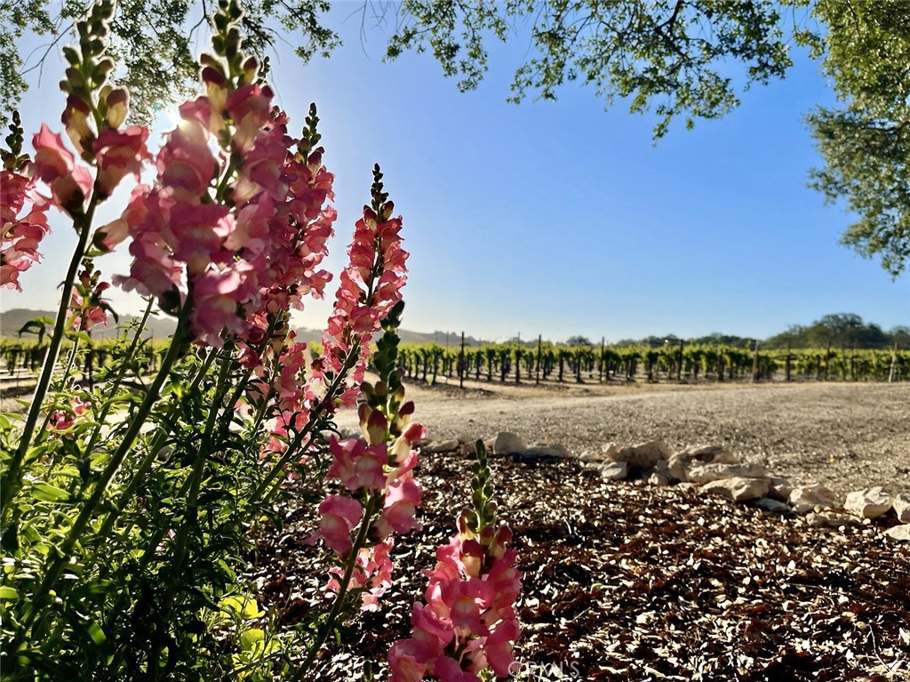 53600 Bradley Lockwood Road Property Photo 56