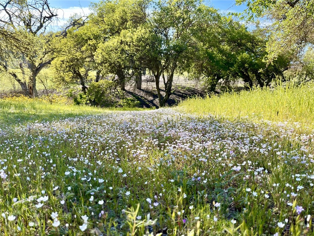 53600 Bradley Lockwood Road Property Photo 57
