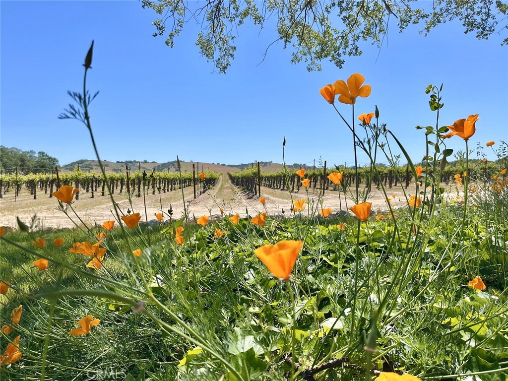 53600 Bradley Lockwood Road Property Photo 58