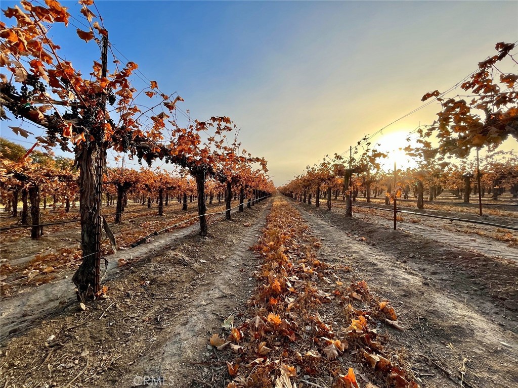 53600 Bradley Lockwood Road Property Photo 60