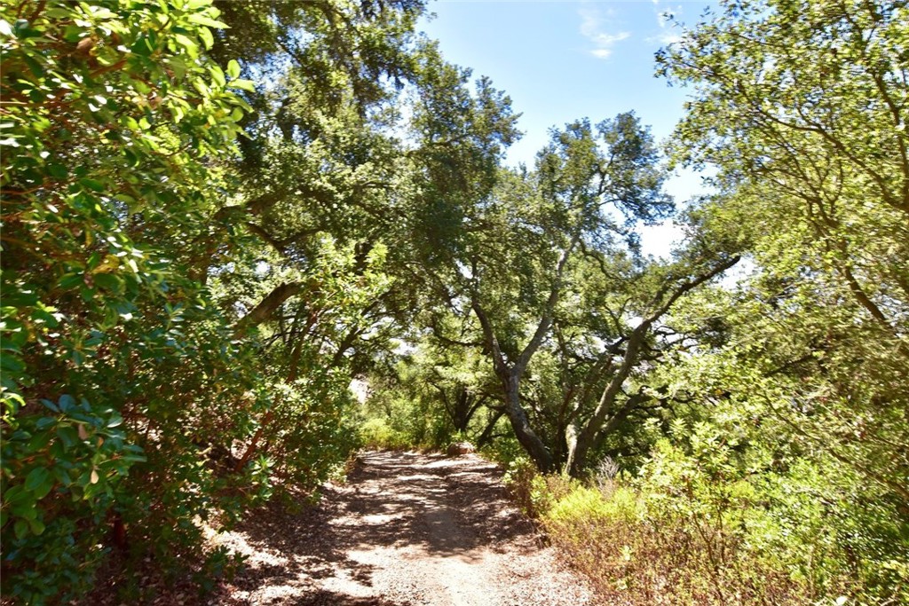 0 Old Creek Road Property Photo 23