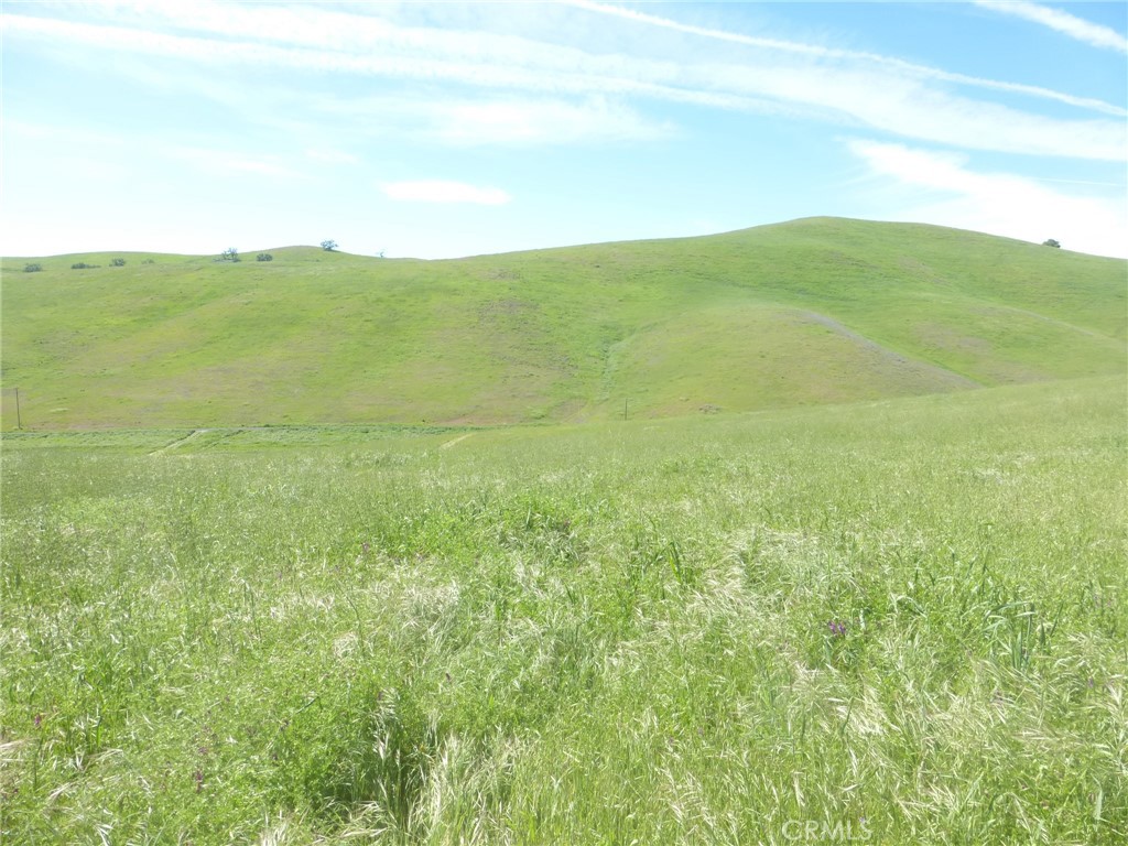 0 Douglas Rd. (lot 42) Property Photo 4