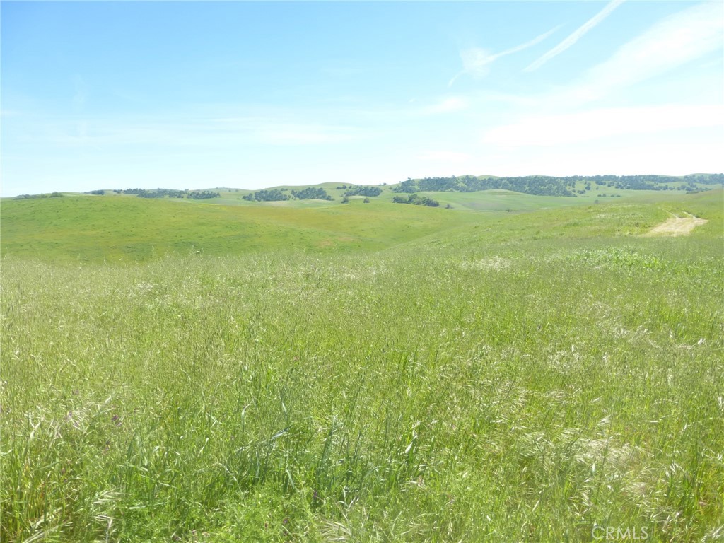 0 Douglas Rd. (lot 42) Property Photo 5