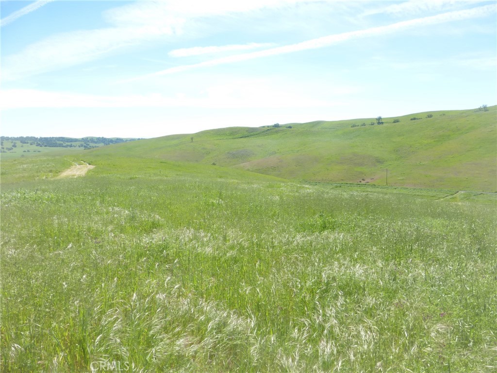 0 Douglas Rd. (lot 42) Property Photo 6
