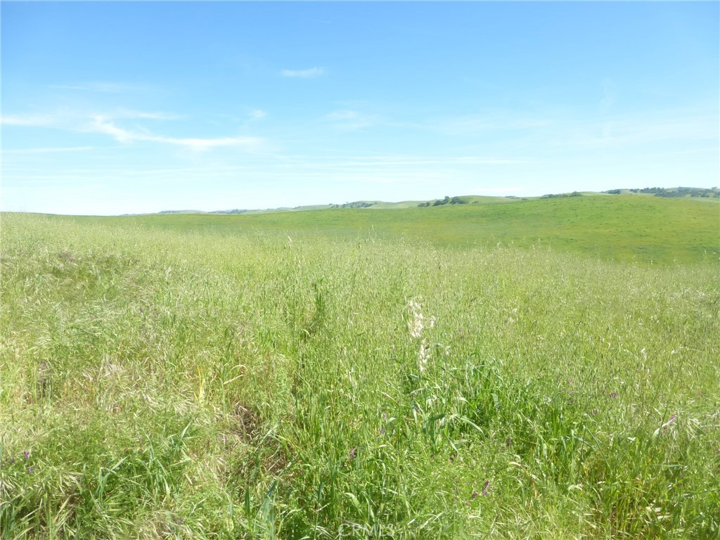 0 Douglas Rd. (lot 42) Property Photo 7
