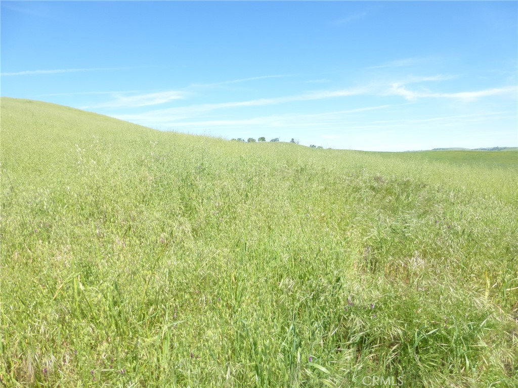 0 Douglas Rd. (lot 42) Property Photo 8