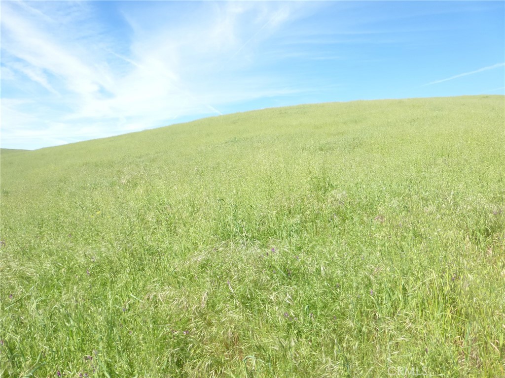 0 Douglas Rd. (lot 42) Property Photo 9