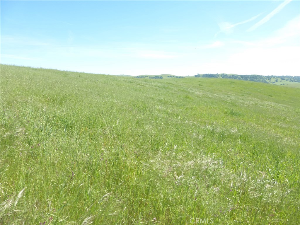 0 Douglas Rd. (lot 42) Property Photo 11
