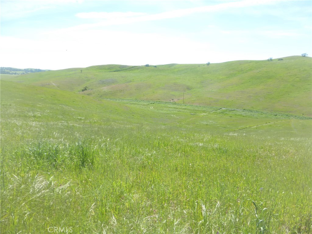 0 Douglas Rd. (lot 42) Property Photo 12