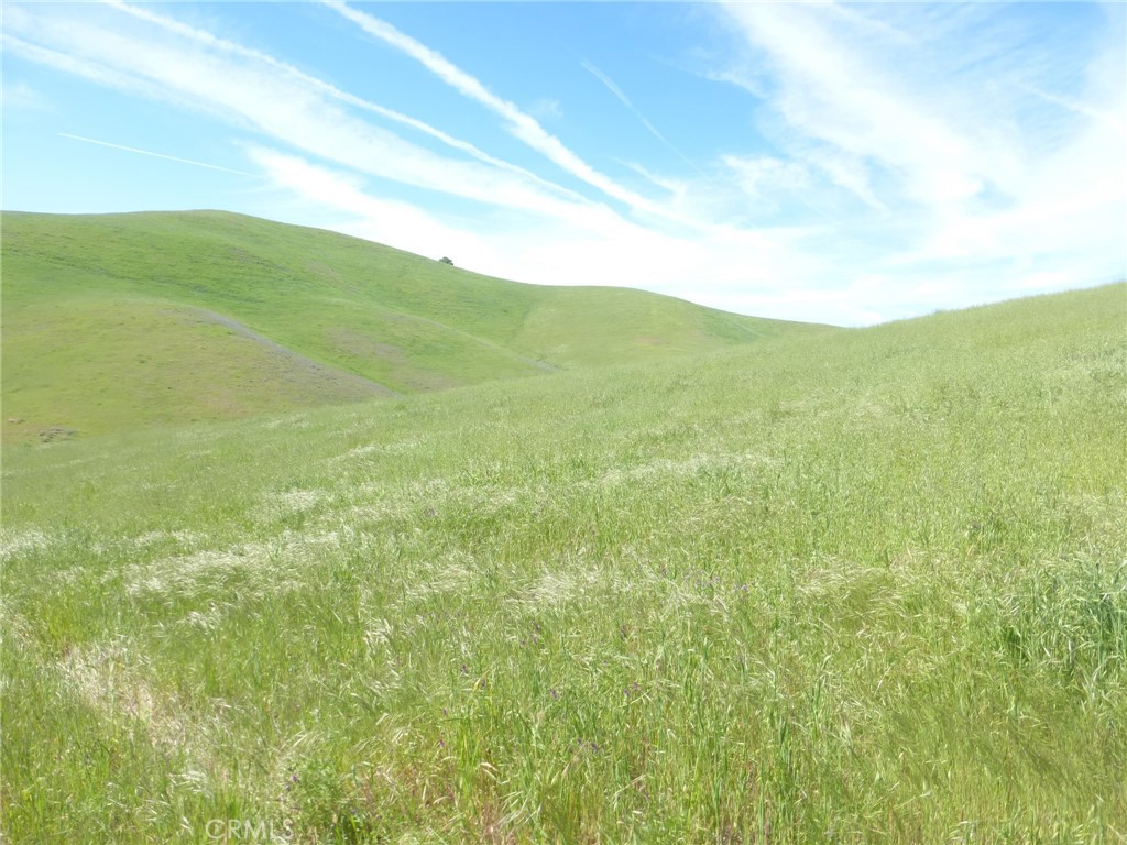 0 Douglas Rd. (lot 42) Property Photo 14