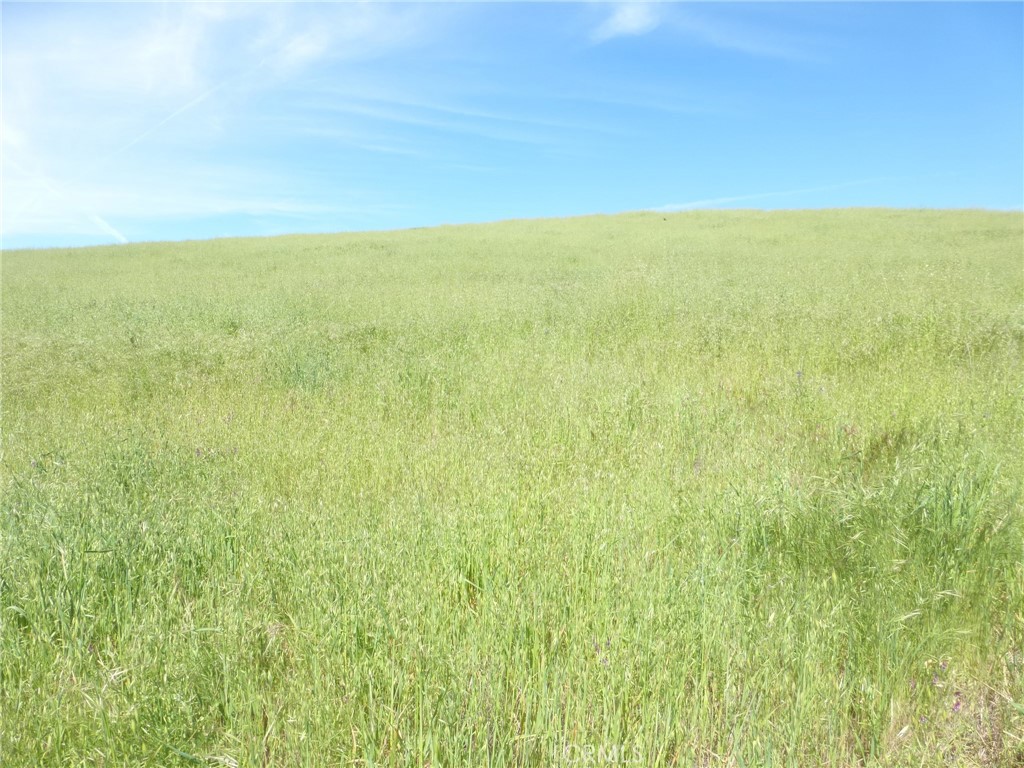 0 Douglas Rd. (lot 42) Property Photo 15