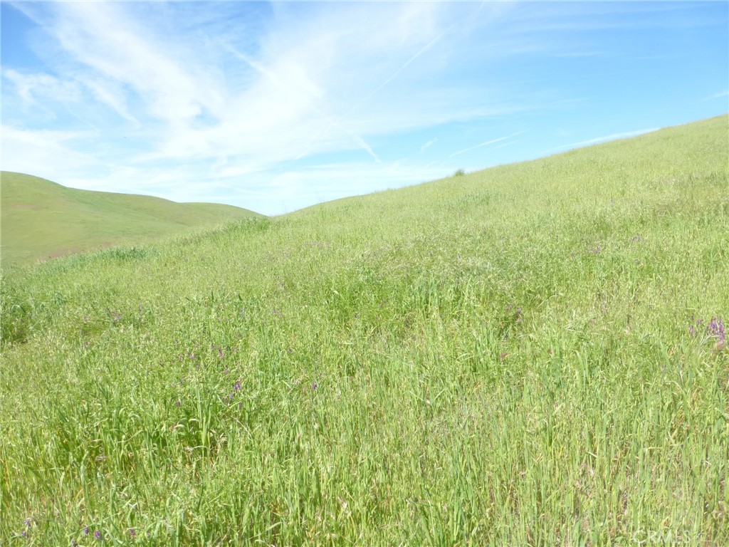 0 Douglas Rd. (lot 42) Property Photo 16