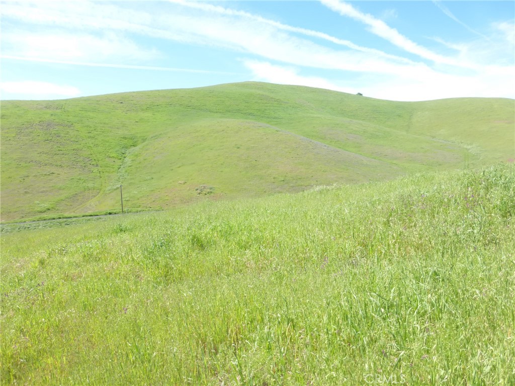 0 Douglas Rd. (lot 42) Property Photo 17