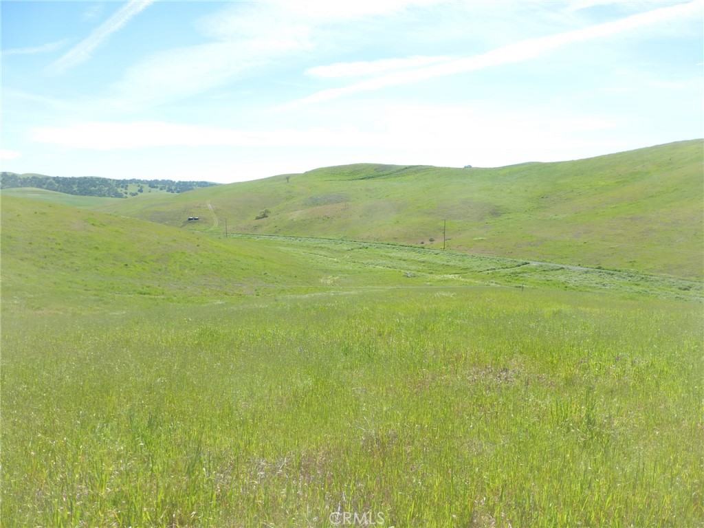 0 Douglas Rd. (lot 42) Property Photo 18