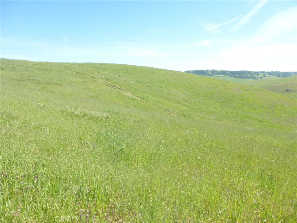 0 Douglas Rd. (lot 42) Property Photo 19