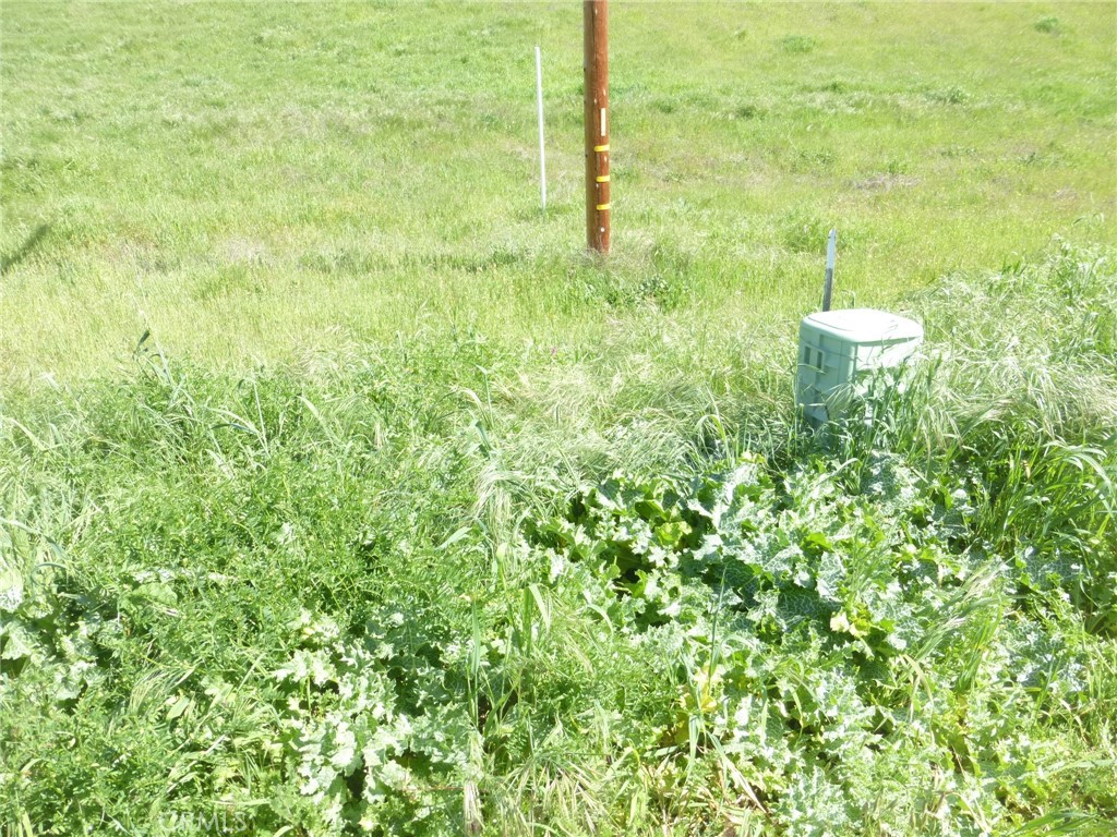 0 Douglas Rd. (lot 42) Property Photo 20