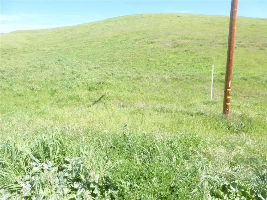 0 Douglas Rd. (lot 42) Property Photo 21
