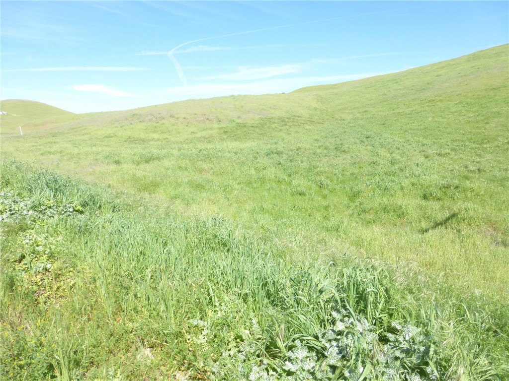 0 Douglas Rd. (lot 42) Property Photo 22