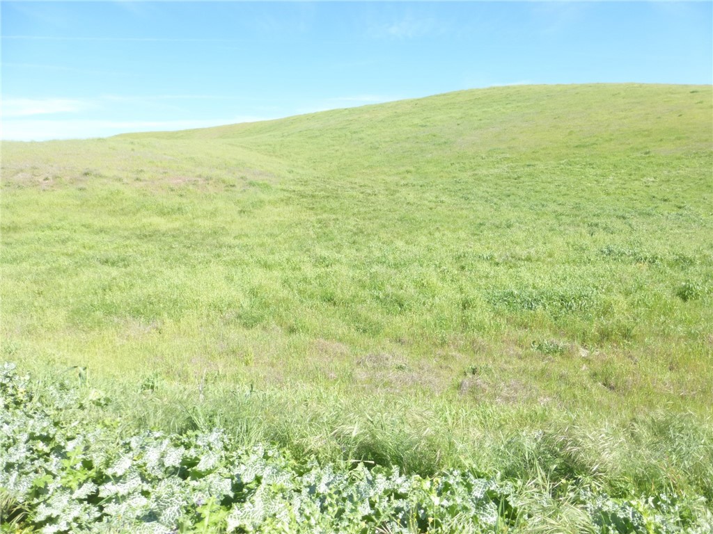 0 Douglas Rd. (lot 42) Property Photo 25
