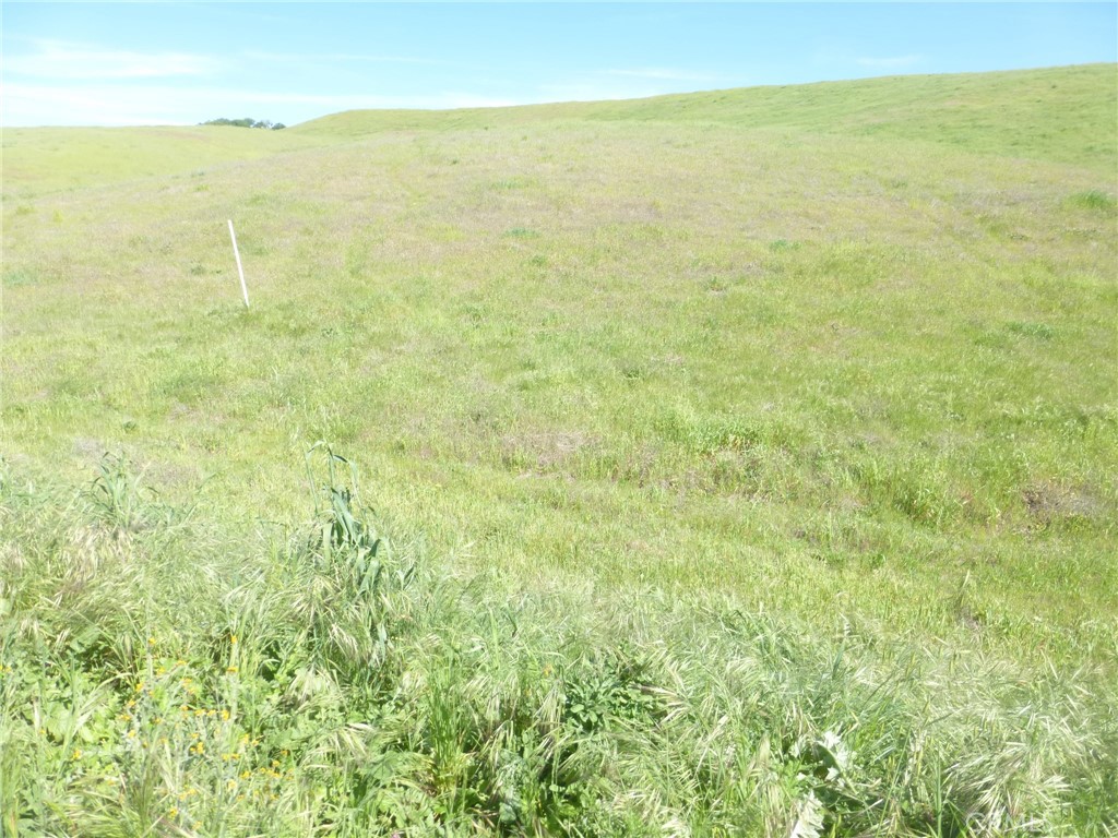 0 Douglas Rd. (lot 42) Property Photo 27