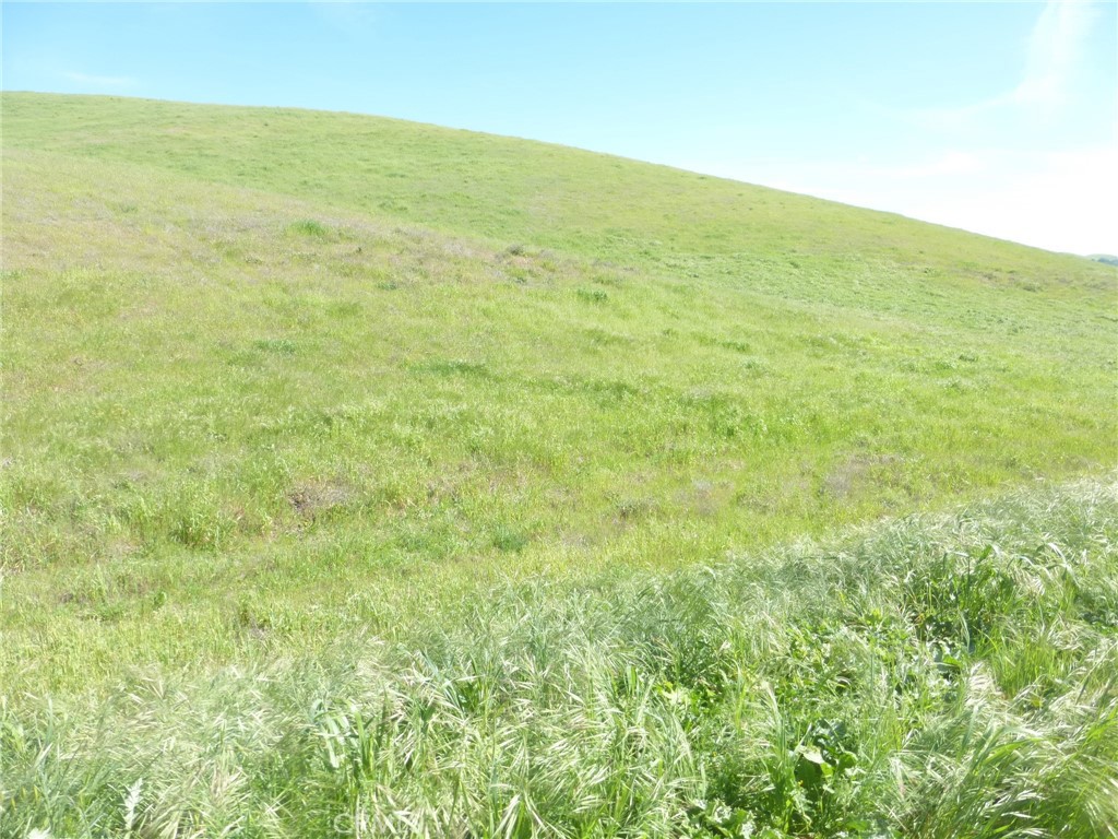 0 Douglas Rd. (lot 42) Property Photo 29