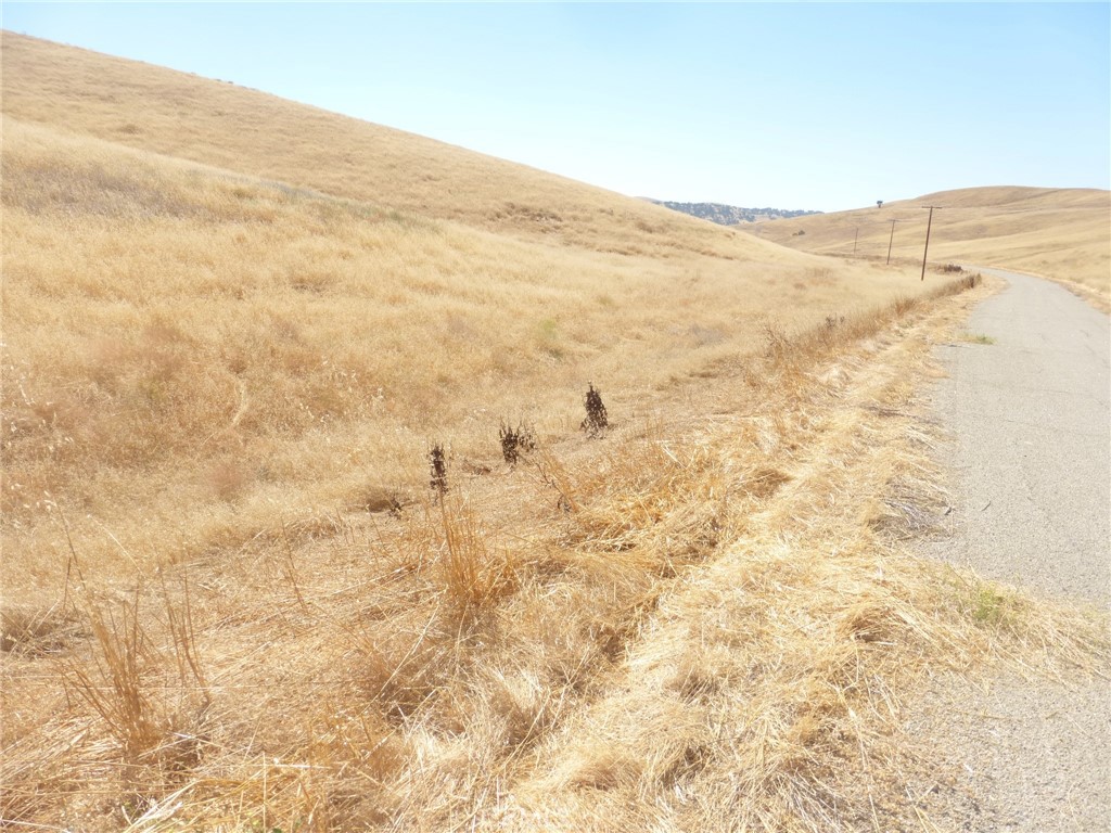 0 Douglas Rd. (lot 42) Property Photo 33