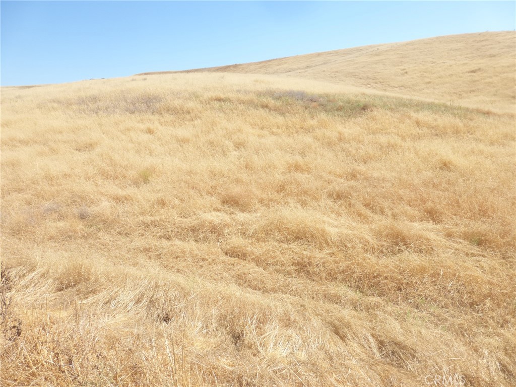 0 Douglas Rd. (lot 42) Property Photo 35