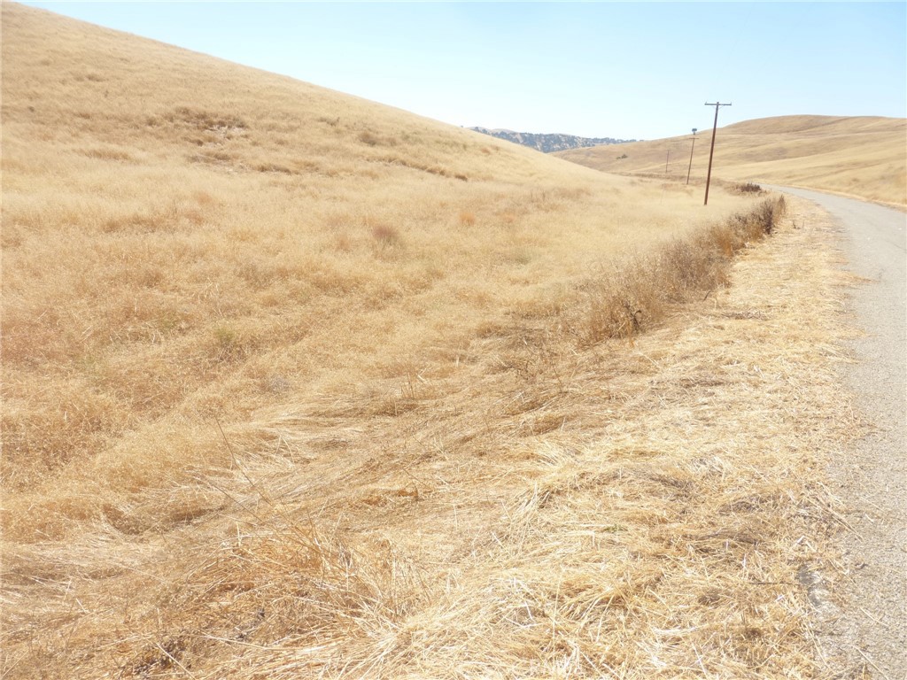 0 Douglas Rd. (lot 42) Property Photo 37