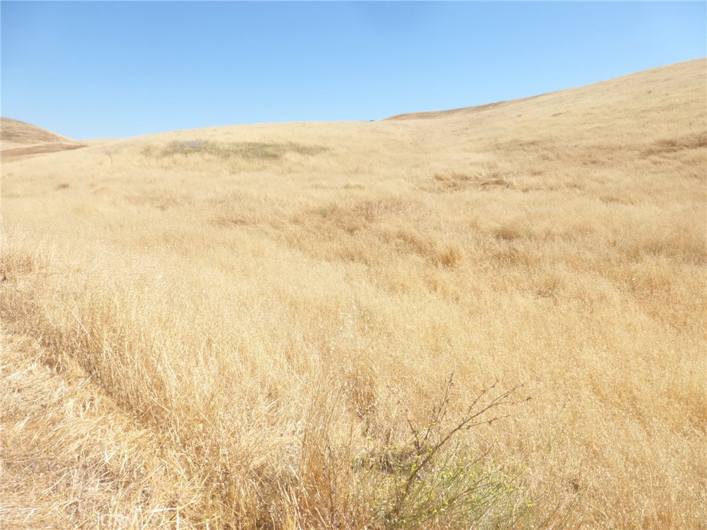 0 Douglas Rd. (lot 42) Property Photo 40
