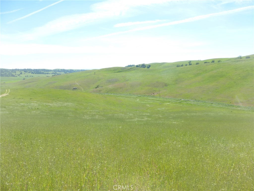 0 Douglas Rd. (lot 43) Property Photo 3