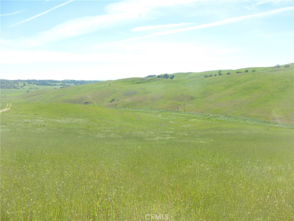 0 Douglas Rd. (lot 43) Property Photo 3