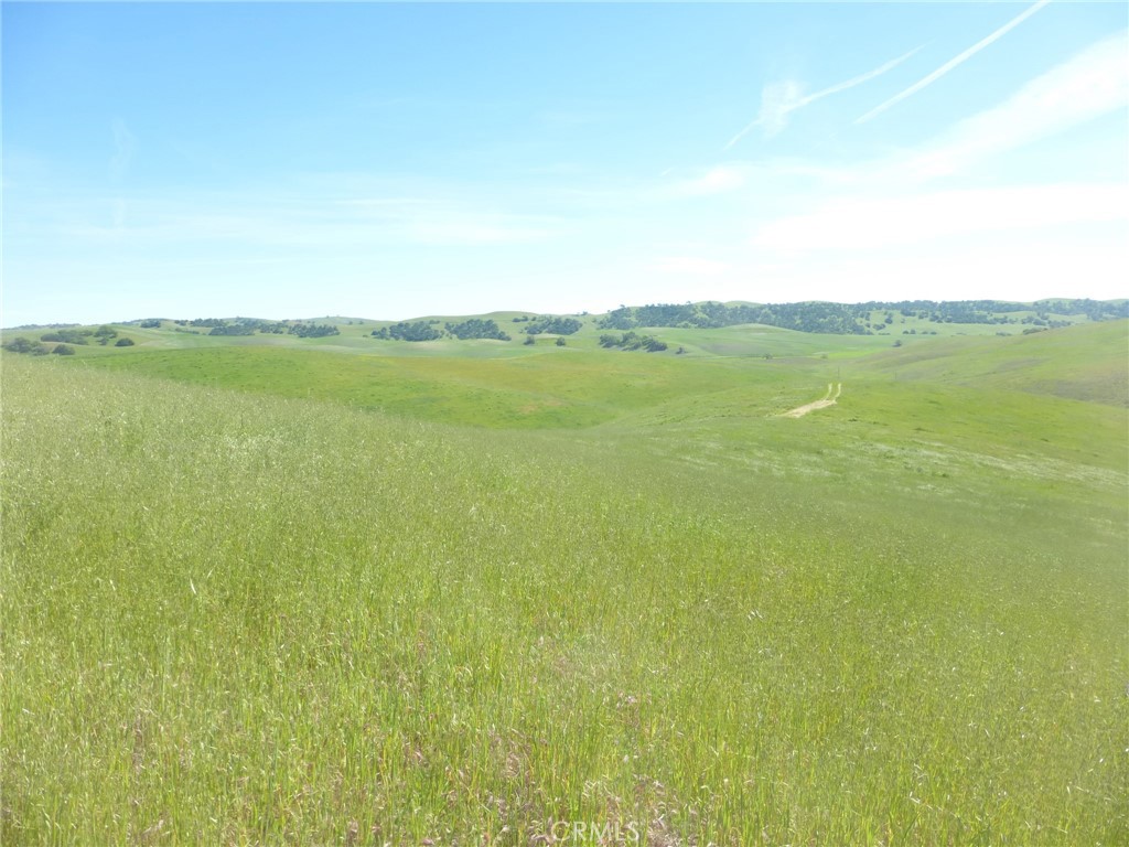 0 Douglas Rd. (lot 43) Property Photo 5