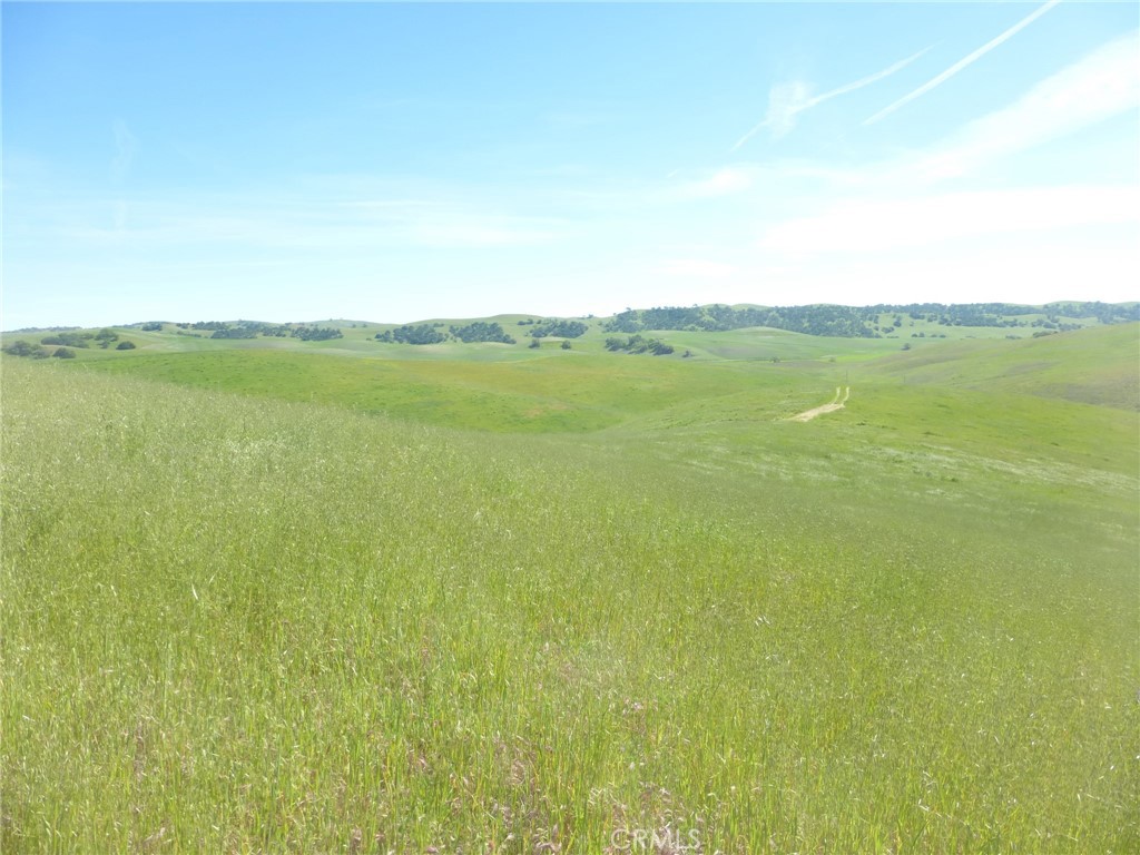 0 Douglas Rd. (lot 43) Property Photo 5