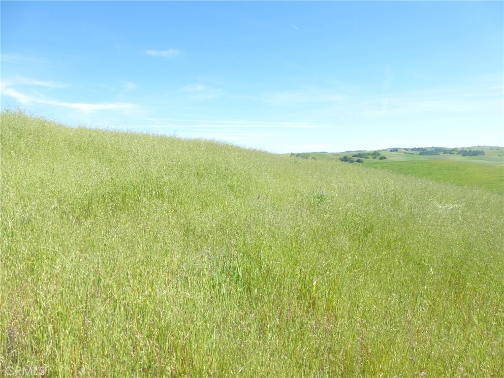 0 Douglas Rd. (lot 43) Property Photo 6