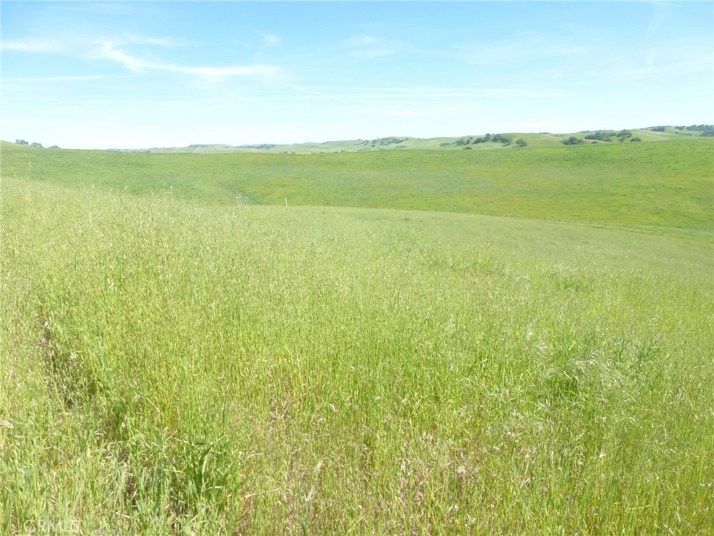 0 Douglas Rd. (lot 43) Property Photo 7