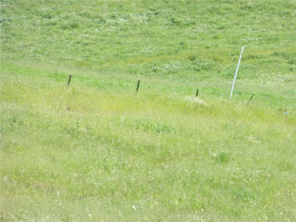 0 Douglas Rd. (lot 43) Property Photo 9