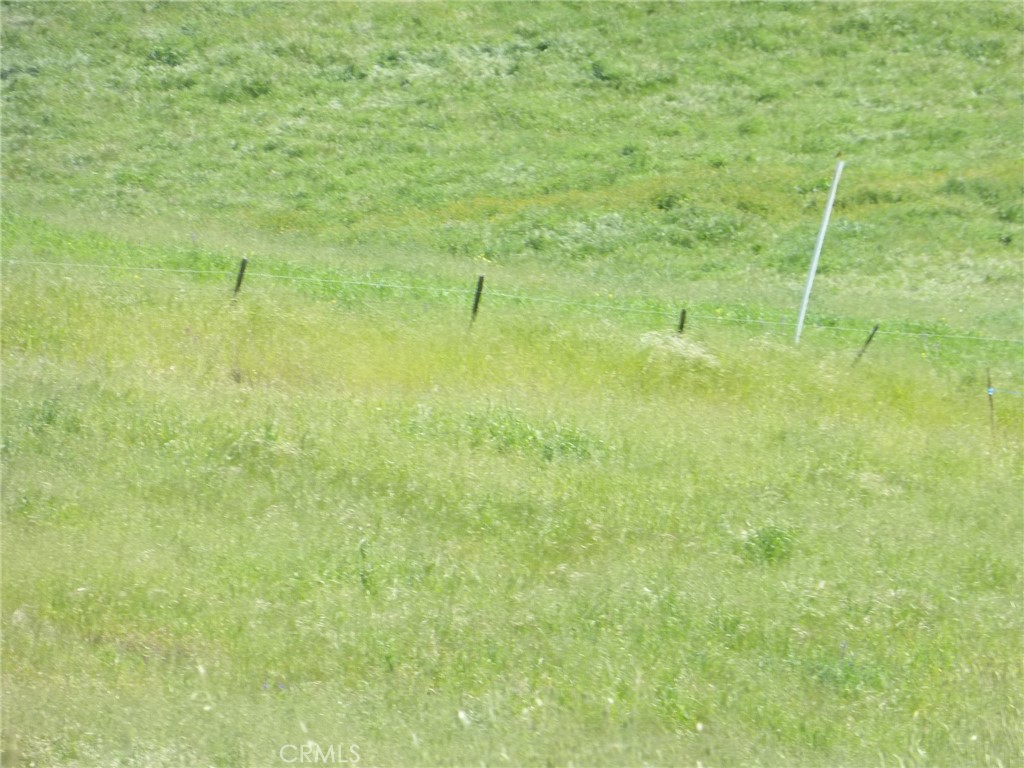 0 Douglas Rd. (lot 43) Property Photo 9