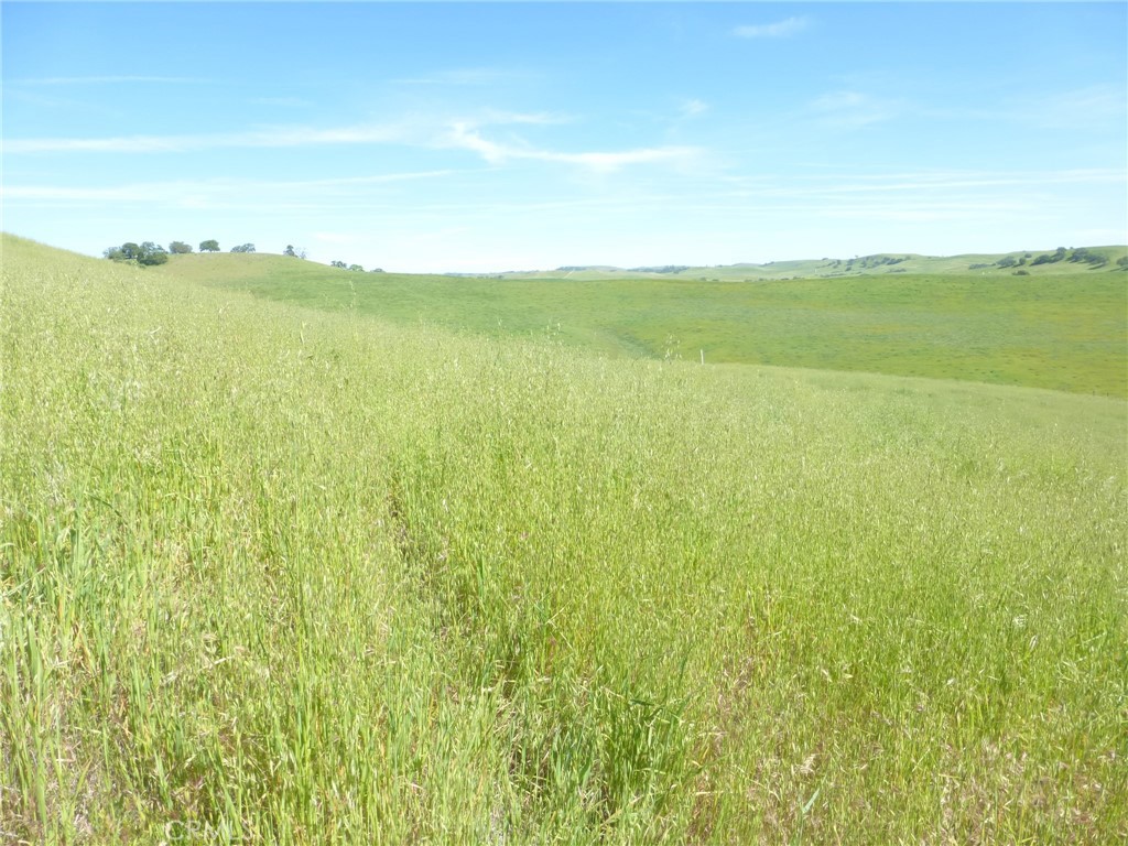 0 Douglas Rd. (lot 43) Property Photo 10