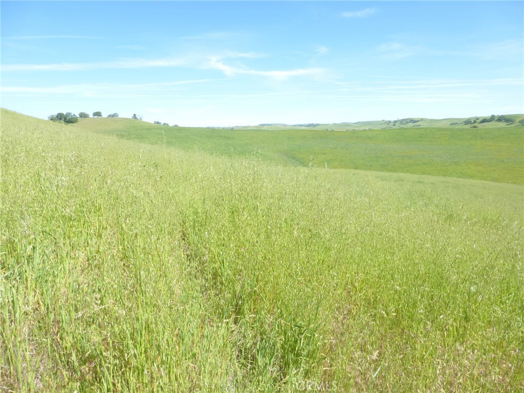 0 Douglas Rd. (lot 43) Property Photo 10