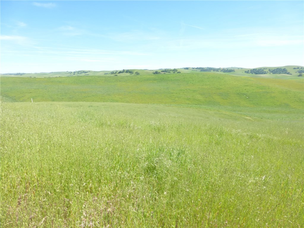 0 Douglas Rd. (lot 43) Property Photo 11